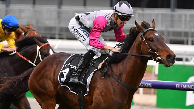 Surprise Baby is one of the best local hopes in the Melbourne Cup. Picture: AAP