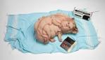Patricia Piccinini's Teenage Metamorphosis, part of the Queensland Art Gallery / Gallery of Modern Art collection.