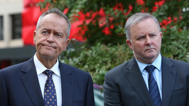 Bill Shorten has reportedly been campaigning against Anthony Albanese.