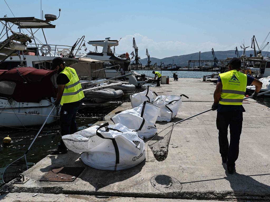 Workers remove dead fish from the waters of the port of Volos. Picture: Sakis Mitrolidis/AFP