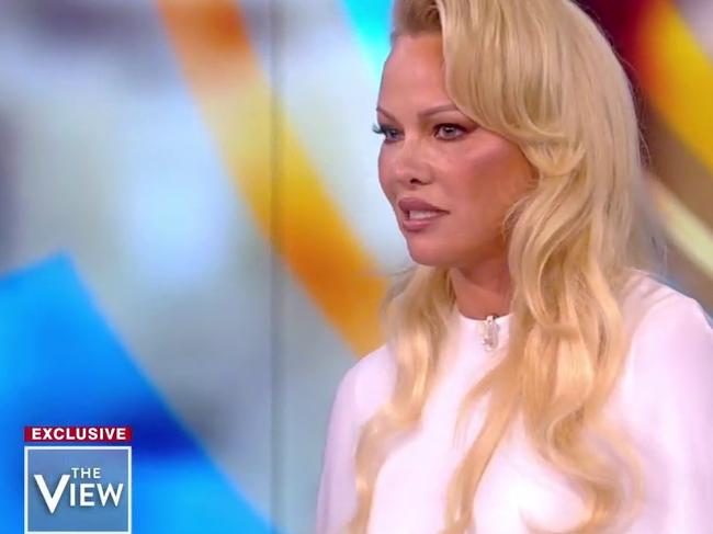 Pamela Anderson, who is a vocal Julian Assange supporter, appeared on The View, where she discussed WikiLeaks and defended Assange when McCain called him a cyberterrorist. Picture: YouTube