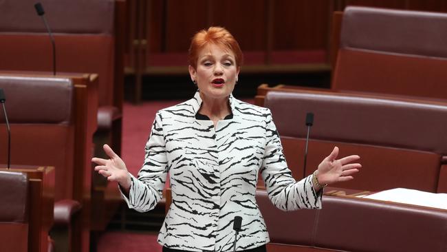 Senator Pauline Hanson speaking at Parliament House today. Picture: Kym Smith