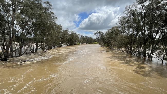 The town of Seymour is cut off as the Goulburn River swells.