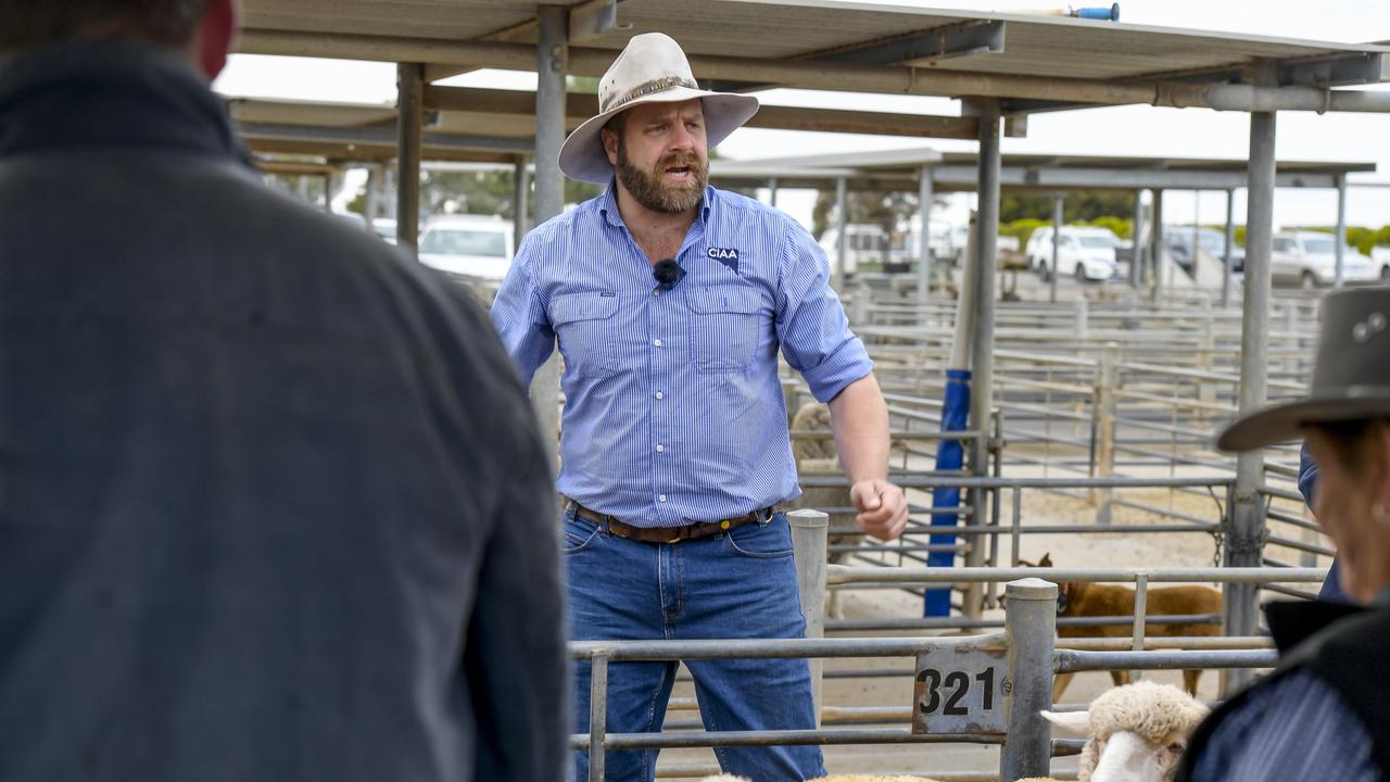 Ben Dohnt auctioning off sheep in Dublin. Picture: Roy VanDerVegt