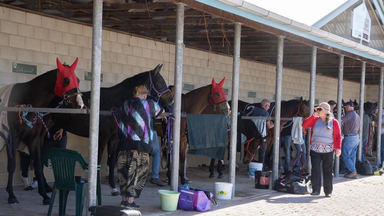 Horses at the Gympie Muster Races. Saturday, August 19, 2023. Picture: Christine Schindler