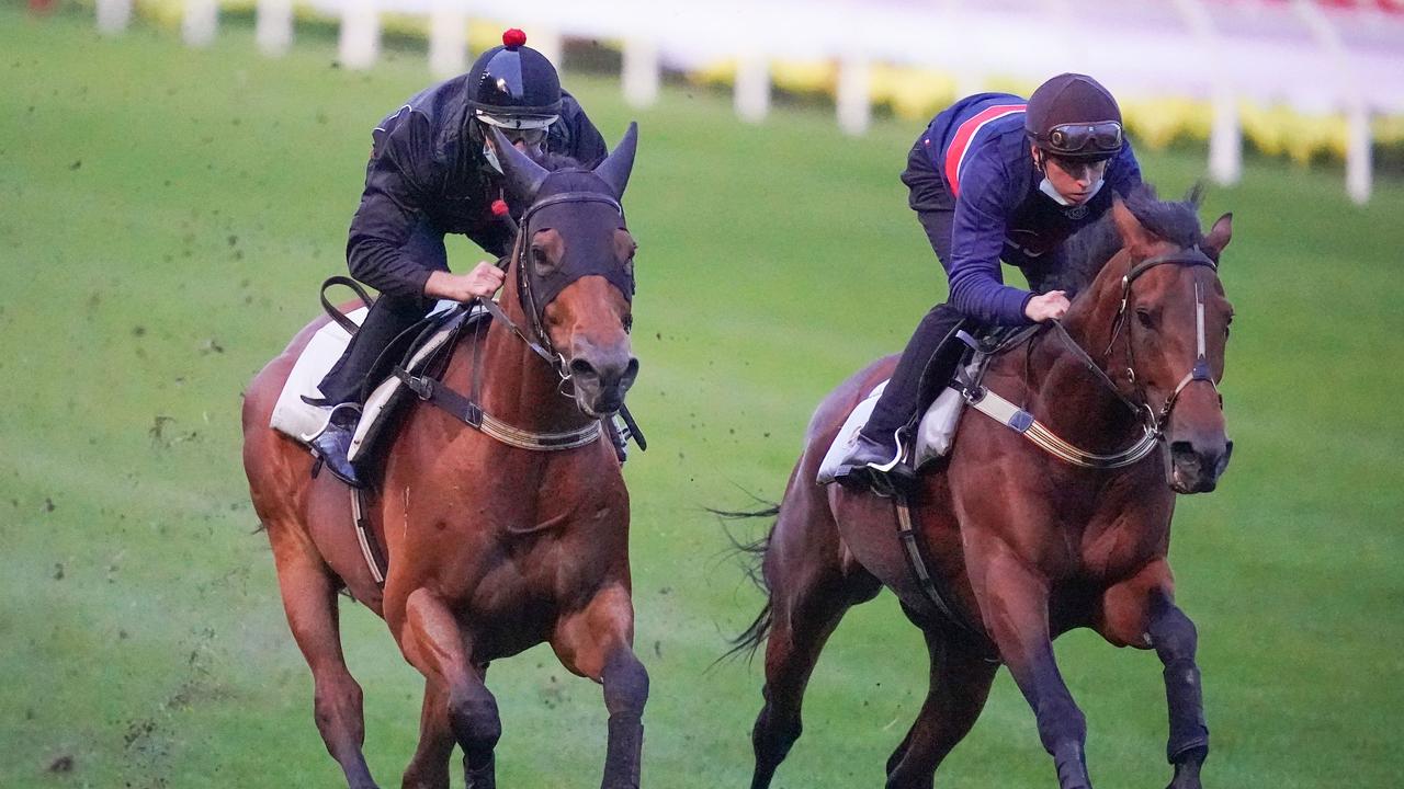 Moonee Valley trackwork