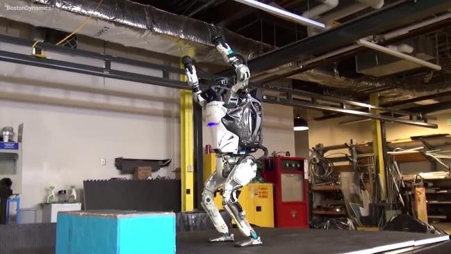 Here's the story behind that pole-dancing robot - The Verge