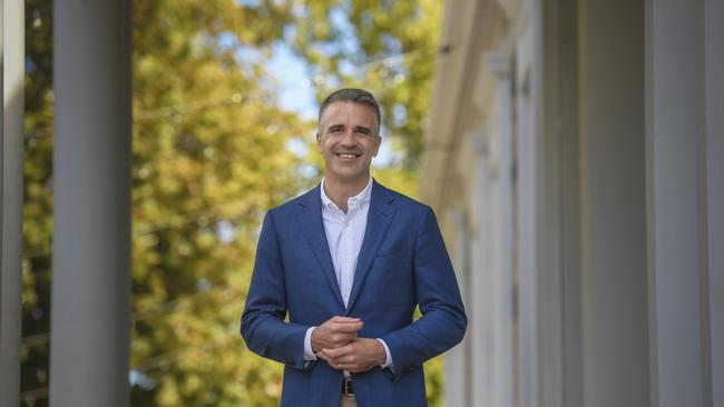 ChatGPT incorrectly wrote that Premier Peter Malinauskas had been the state’s leader since 2018. Picture: Roy VanDerVegt