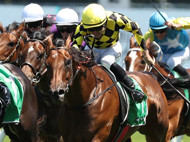 SYDNEY, AUSTRALIA - JANUARY 25: Aaron Bullock riding Clear Thinking win Race 3 TAB Highway Handicap  during Sydney Racing at Royal Randwick Racecourse on January 25, 2025 in Sydney, Australia. (Photo by Jeremy Ng/Getty Images)