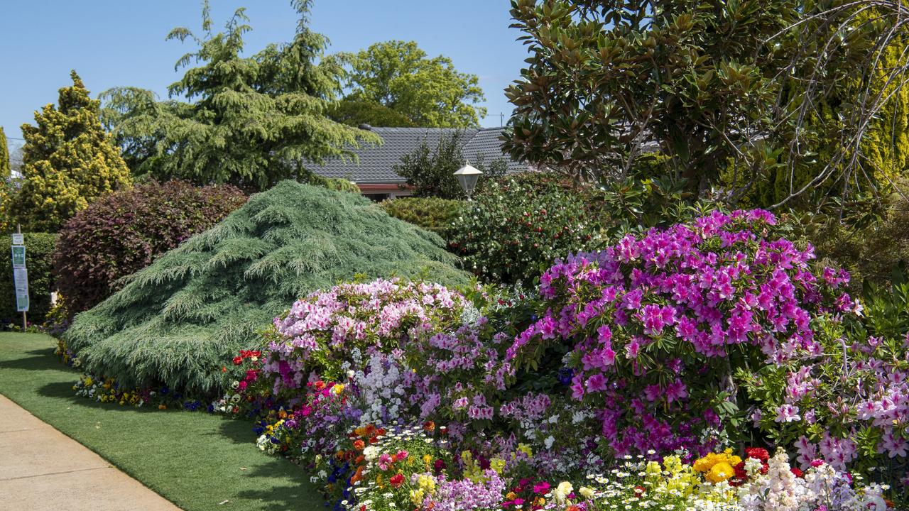 The garden of Bob and Val Ford, 19 Burke St Toowoomba. 2020 Garden for Good. Wednesday. 23rd Sep 2020