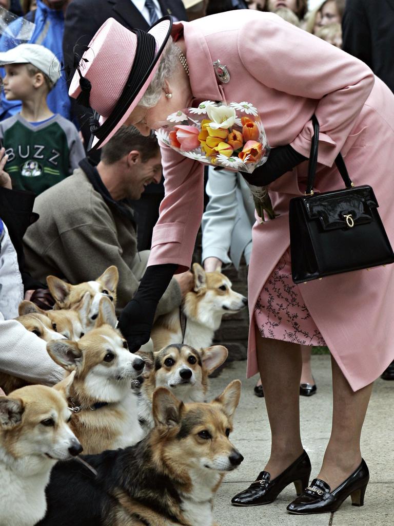 24/05/2005. Queen Elizabeth II leans down to pet a group of corgi dogs as she leaves the Alberta Legislature in Edmonton. The Queen is in Alberta, Canada, to celebrate the province’s centennial. Picture: Getty