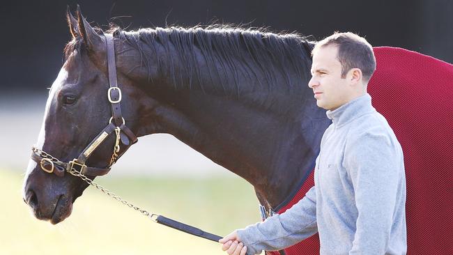 MELBOURNE, AUSTRALIA - OCTOBER 30: Yucatan walks laps after a gallop during a Werribee trackwork session at Werribee Racecourse on October 30, 2018 in Melbourne, Australia. (Photo by Michael Dodge/Getty Images)