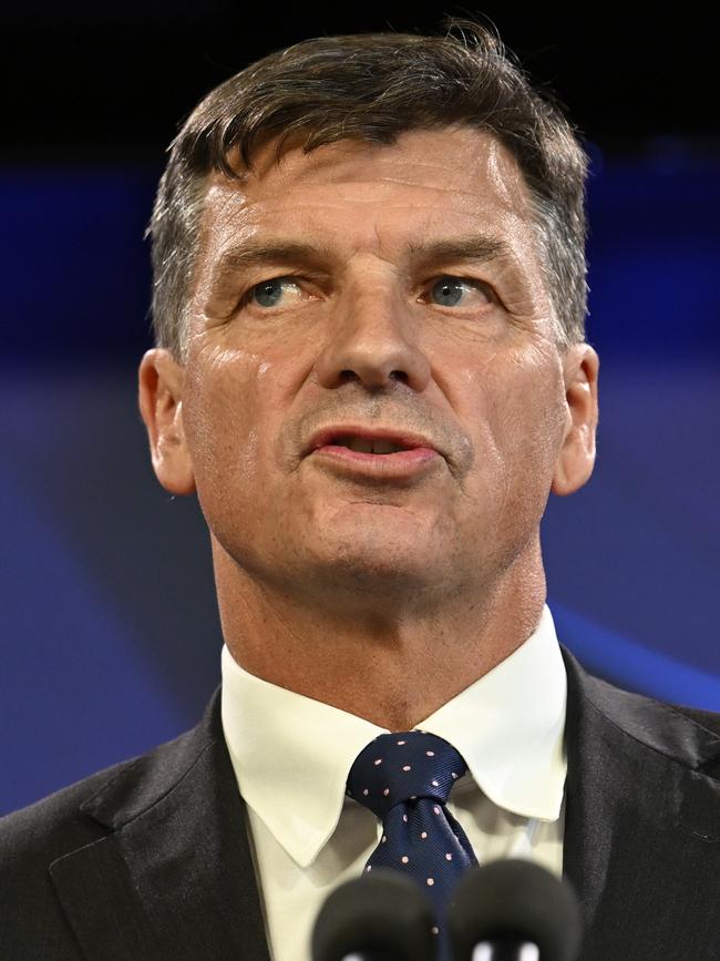 Angus Taylor. Picture: NewsWire / Martin Ollman