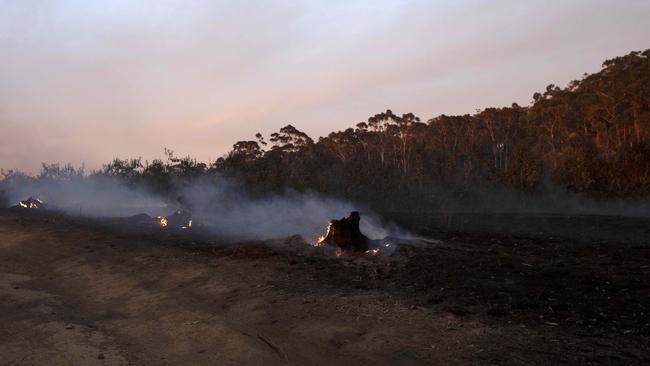 A scene in the Adelaide Hills town Lobethal in the aftermath of the Cudlee Creek fire. Picture: AAP