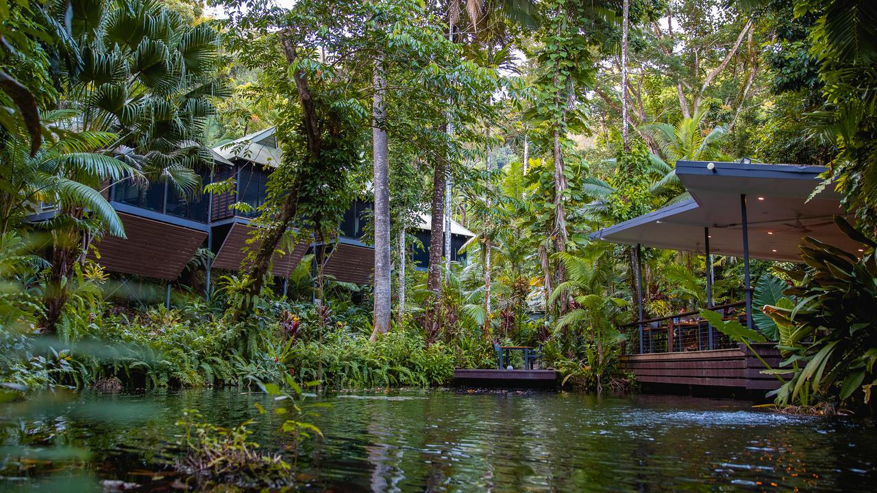 At the pool at the Daintree Ecolodge.