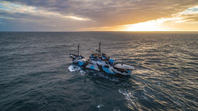 The Sea Shepherd vessel Steve Irwin during its voyage to the Great Australian Bight. Picture: Sea Shepherd Australia