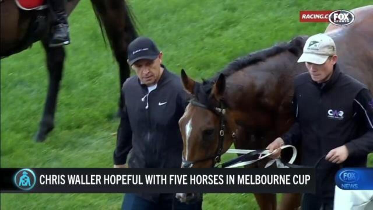 Waller out to claim second Melbourne cup The Advertiser