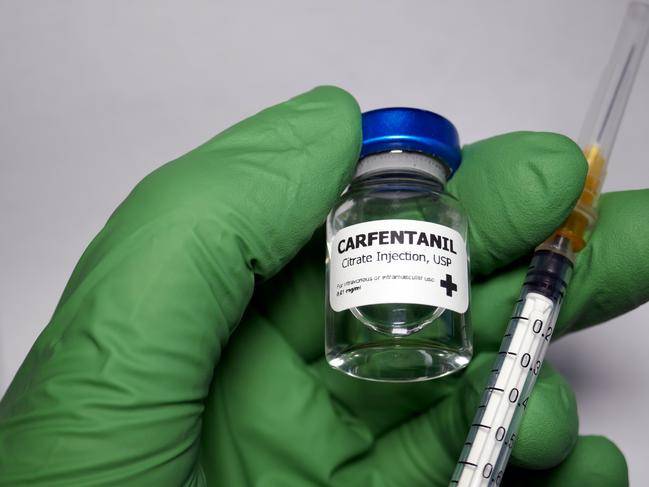 Carfentanil – a substance that acts on opioid receptors and is primarily used for pain relief and anaesthesia.