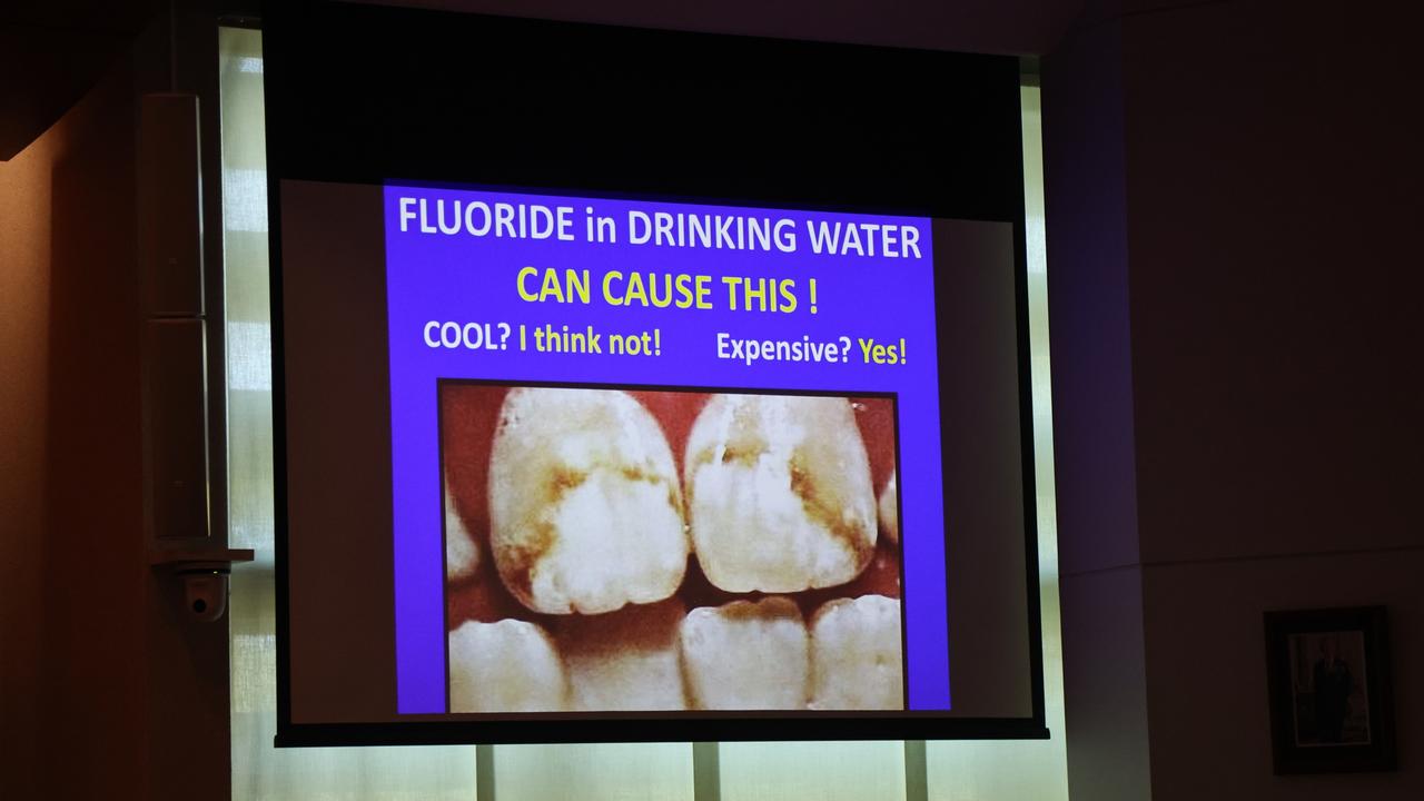 A slideshow played for councillors and members of the public during an anti-fluoride deputation at an ordinary meeting on November 20.