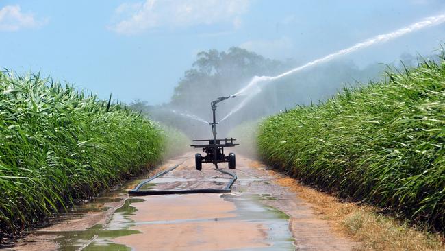 WATERING CANE: Industrial size sprinklers irrigate a cane farm on Goodwood Road.Photo: Max Fleet / NewsMail