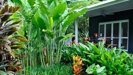 A Brisbane backyard yielded an enormous amount of species over one year.