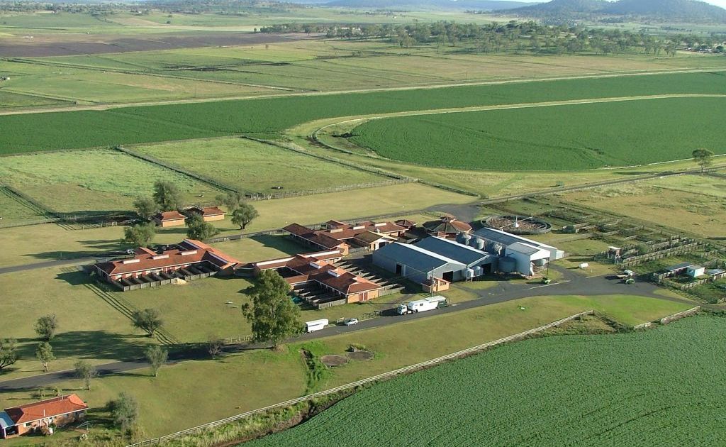 The Wellcamp Downs horse stud is about to be demolished to make way for the growing Wellcamp Airport development. Picture: Contributed