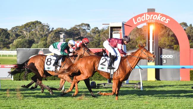 Cost of living pressures are hurting the punters, and rising taxes are hitting the bookies. Picture: Pat Scala/Racing Photos