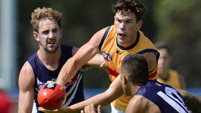 Young WA forward Mitch McGovern earns new deal at Adelaide Football ...