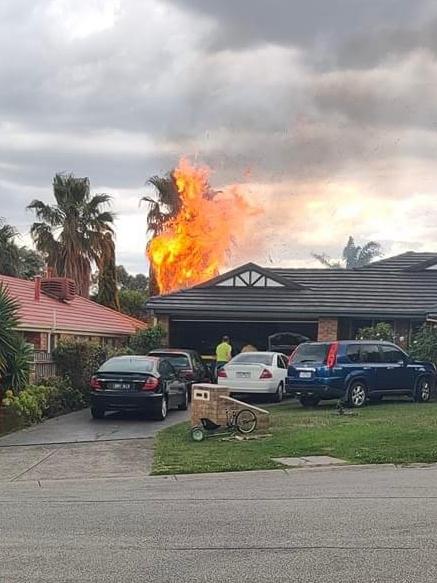 One palm tree engulfed in flames. Picture: Supplied