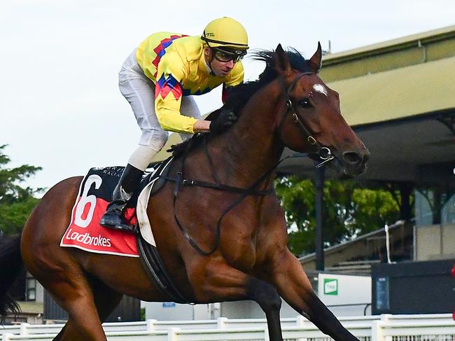 Exciting Tony Gollan-trained three-year-old Freedom Rally is one to watch at Eagle Farm on Saturday. Picture: Grant Peters, Trackside Photography, ,