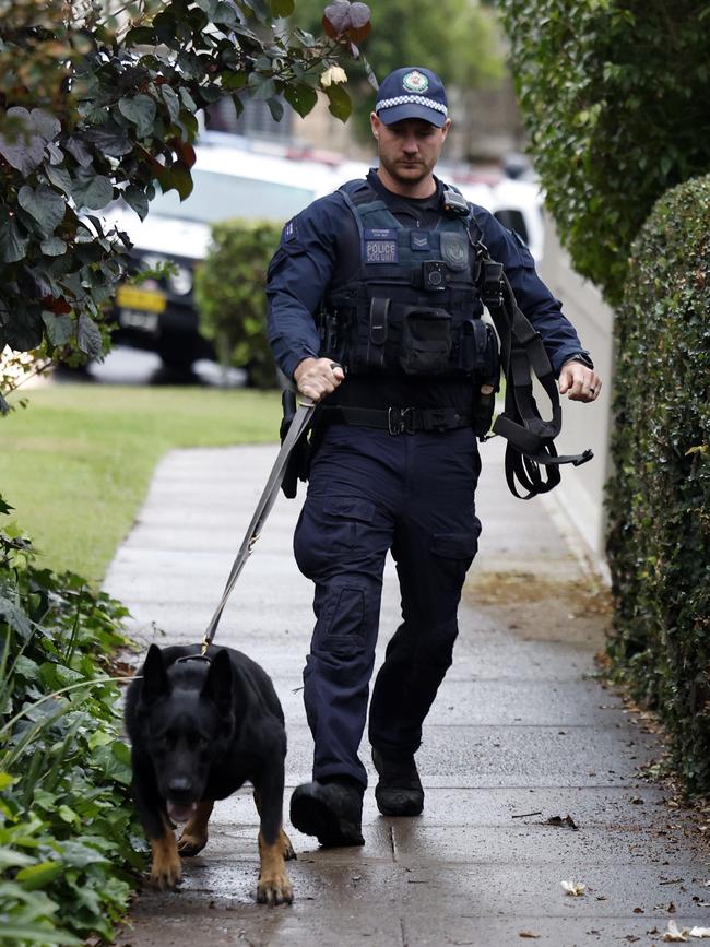 A member of the NSW Police Dog Squad. Picture: Jonathan Ng