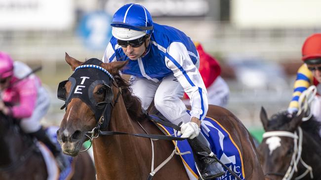 Jockey Brad Stewart is a good bet for punters. Picture: AAP