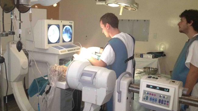 Tom Oxley and Gil Rind performing an early sheep implant at the Florey Institute of Neuroscience.