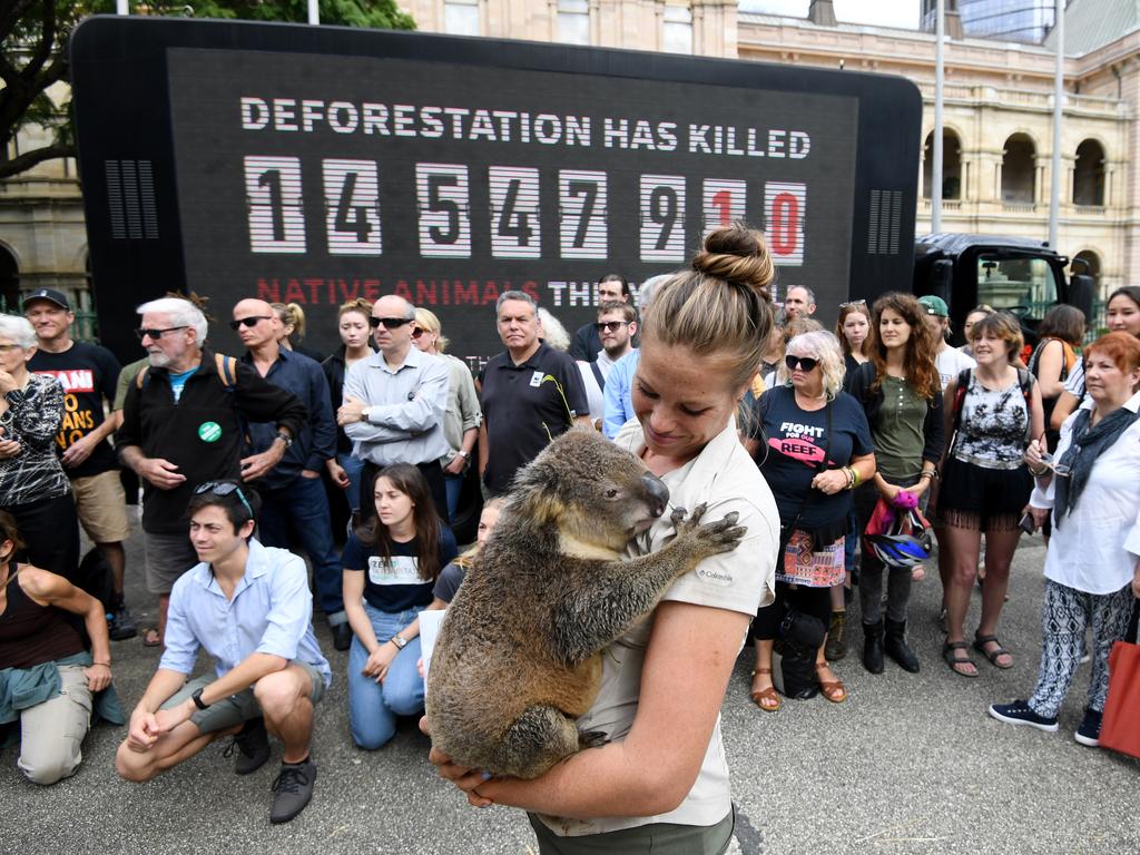 Rebecca Toombes from Wildlife HQ holds a koala during protest against deforestation outside the Queensland Parliament House in Brisbane, on Wednesday, May 2, 2018. The Queensland government has introduced new native vegetation laws to restrict land clearing by farmers on rural properties. (AAP Image/Dan Peled).