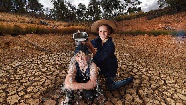 No water in the dams but Finn and Forest make do near Maldon in Central Victoria..Picture:Rob Leeson.