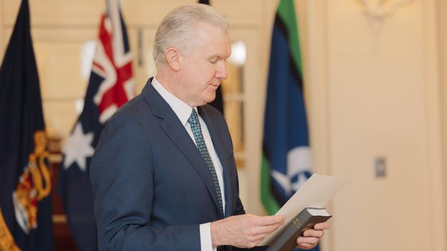 Tony Burke has taken on the troubled portfolios. Picture: NewsWire / David Beach