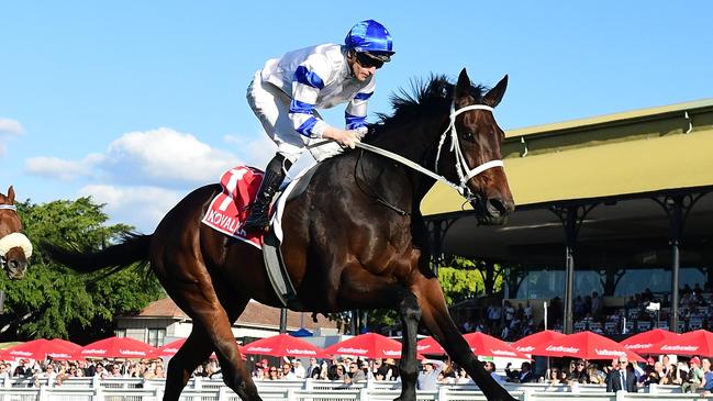 Kovalica has been backed to win his first race in two years. Picture: Grant Peters/Trackside Photography