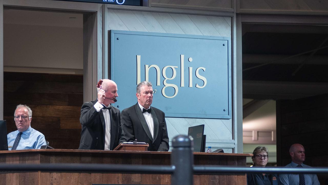 The catalogue for the Inglis Premier Yearling Sales has been released. Picture: Flavio Brancaleone