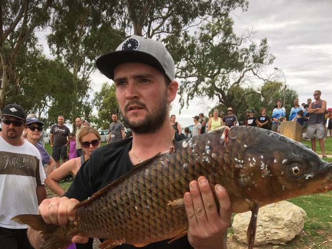 Carp Frenzy fishing at Lake Bonney saw 16,660 carp pulled in over nine hours in the Riverland.