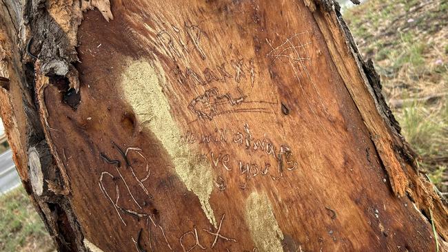 Tributes to Max have been scratched into a nearby tree. Picture: Supplied