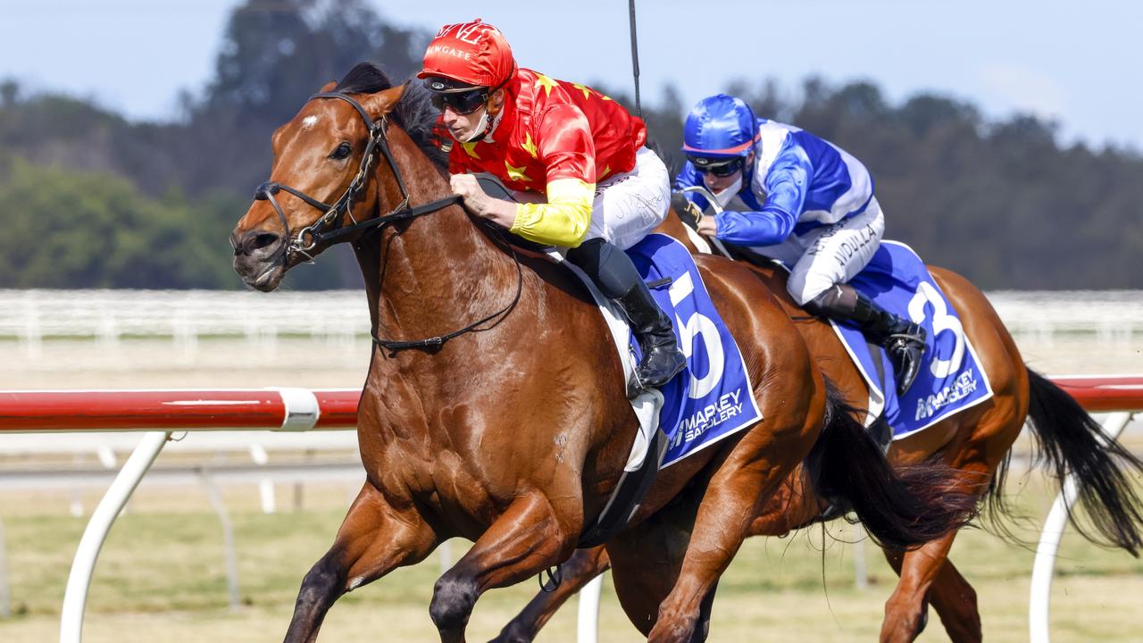 King Of Sparta was brilliant winning at Kembla last start and looks tough to beat again. Picture: Getty Images