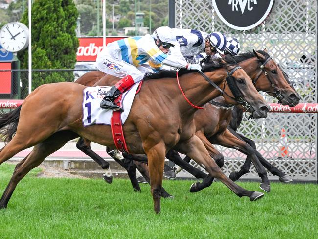 Just For Show ridden by Craig Williams wins the Musk Creek Farm VOBIS Gold Carat at Moonee Valley Racecourse on December 28, 2024 in Moonee Ponds, Australia. (Photo by Reg Ryan/Racing Photos via Getty Images)