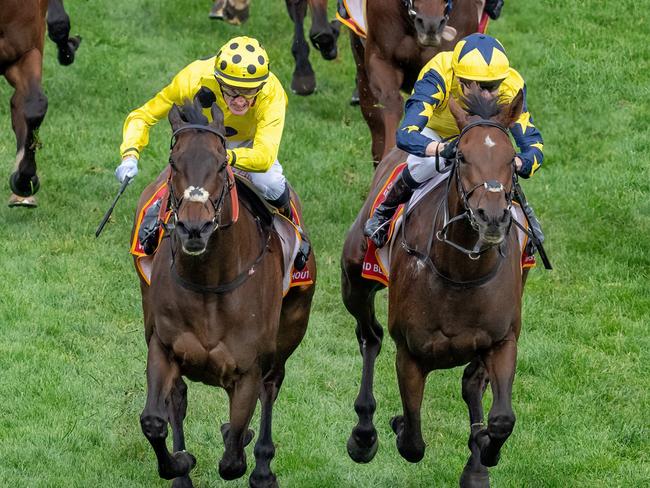 Without A Fight (IRE) ridden by Mark Zahra wins the Carlton Draught Caulfield Cup at Caulfield Racecourse on October 21, 2023 in Caulfield, Australia. (Photo by Jay Town/Racing Photos via Getty Images)