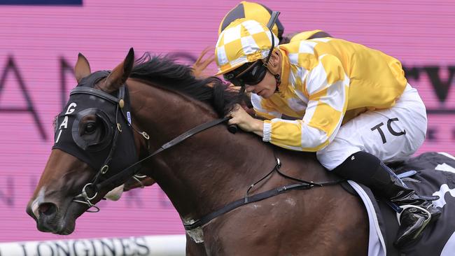 Rise Of The Masses can atone at Kembla Grange after running at Flemington last start. Picture: Getty Images