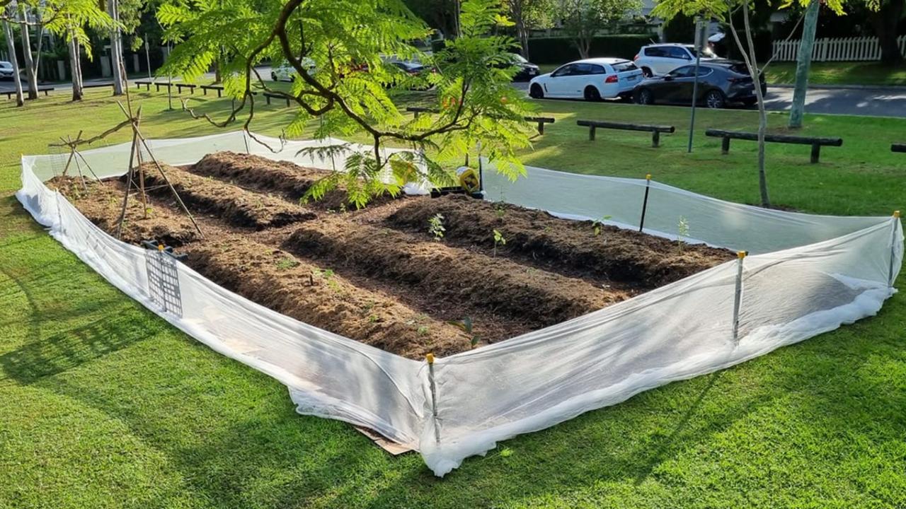 The St Lucia community garden prior to its demolition. Picture: Facebook / @KatrinaGraham