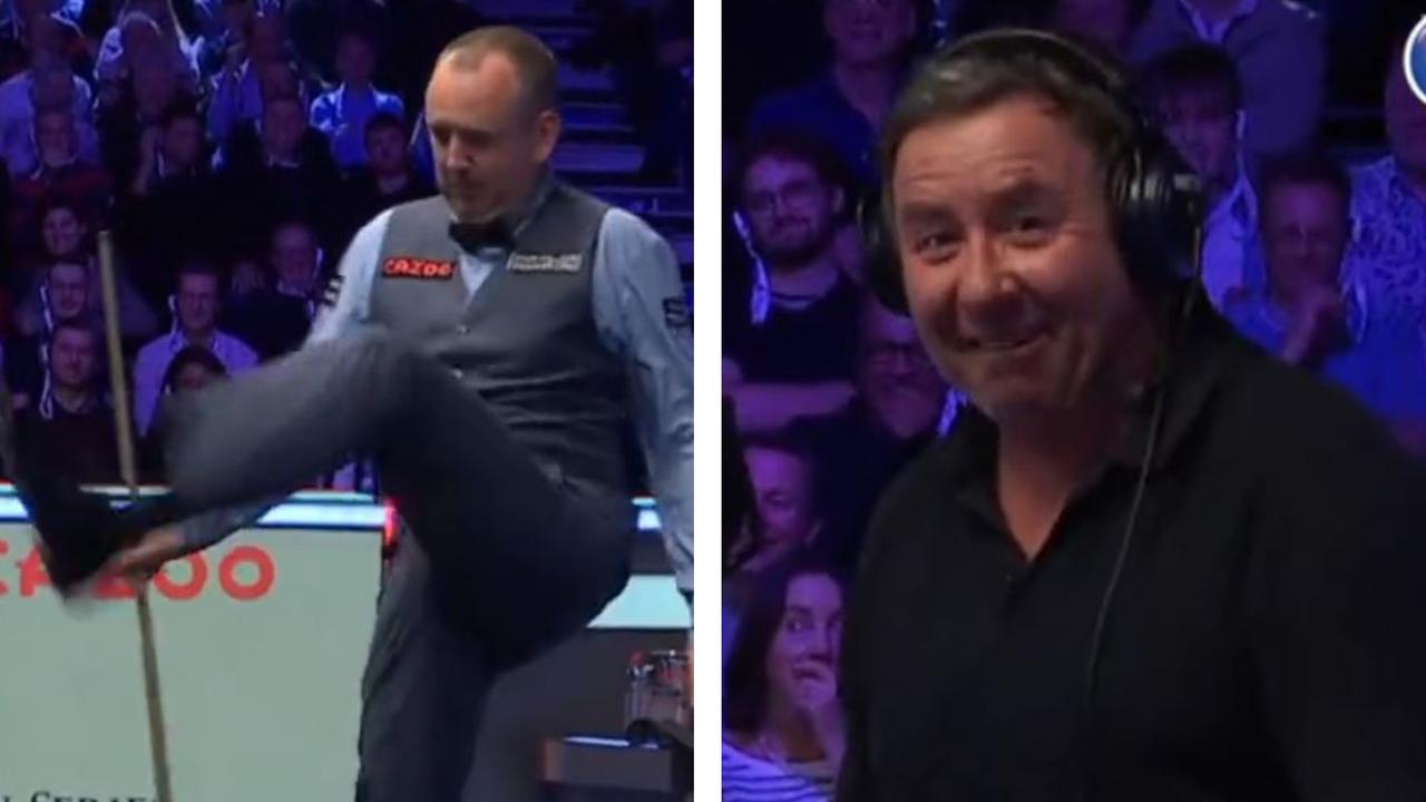 A snooker star and a camerman were attacked by a wasp during a match. Picture: Supplied