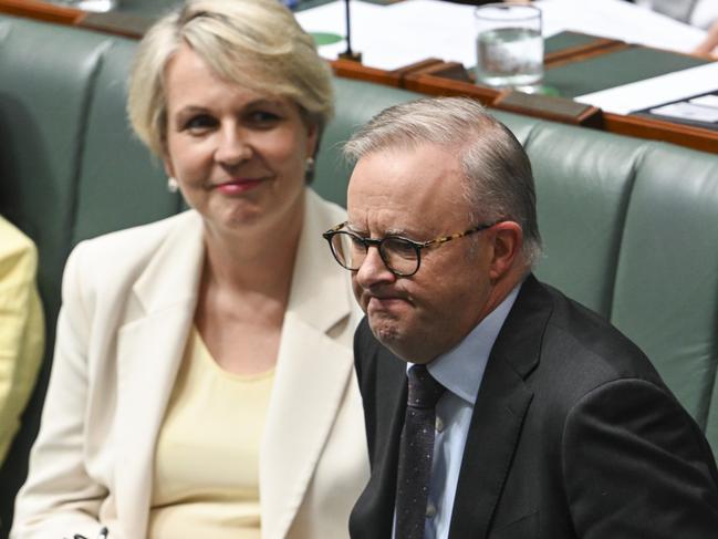 CANBERRA, AUSTRALIA, NewsWire Photos. FEBRUARY 14, 2024: Minister for Environment and Water Tanya Plibersek and Prime Minister Anthony Albanese during Question Time at Parliament House in Canberra. Picture: NCA NewsWire / Martin Ollman