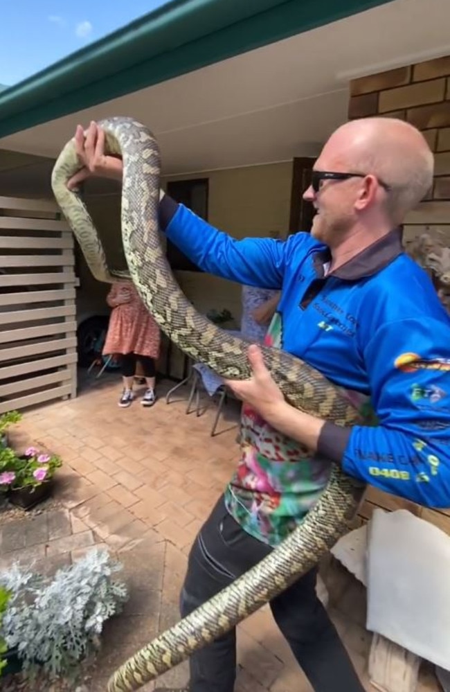 Stu carrying away the massive carpet python. Picture: Storyful