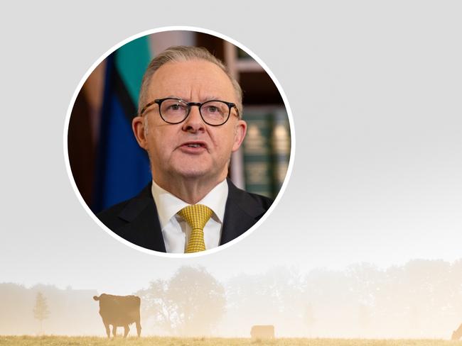 Labor gov what it means for farmers Canva WT