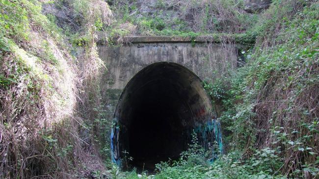 Ernest Junction Tunnel from the outside. Picture: Ernest Junction Tunnel Friends